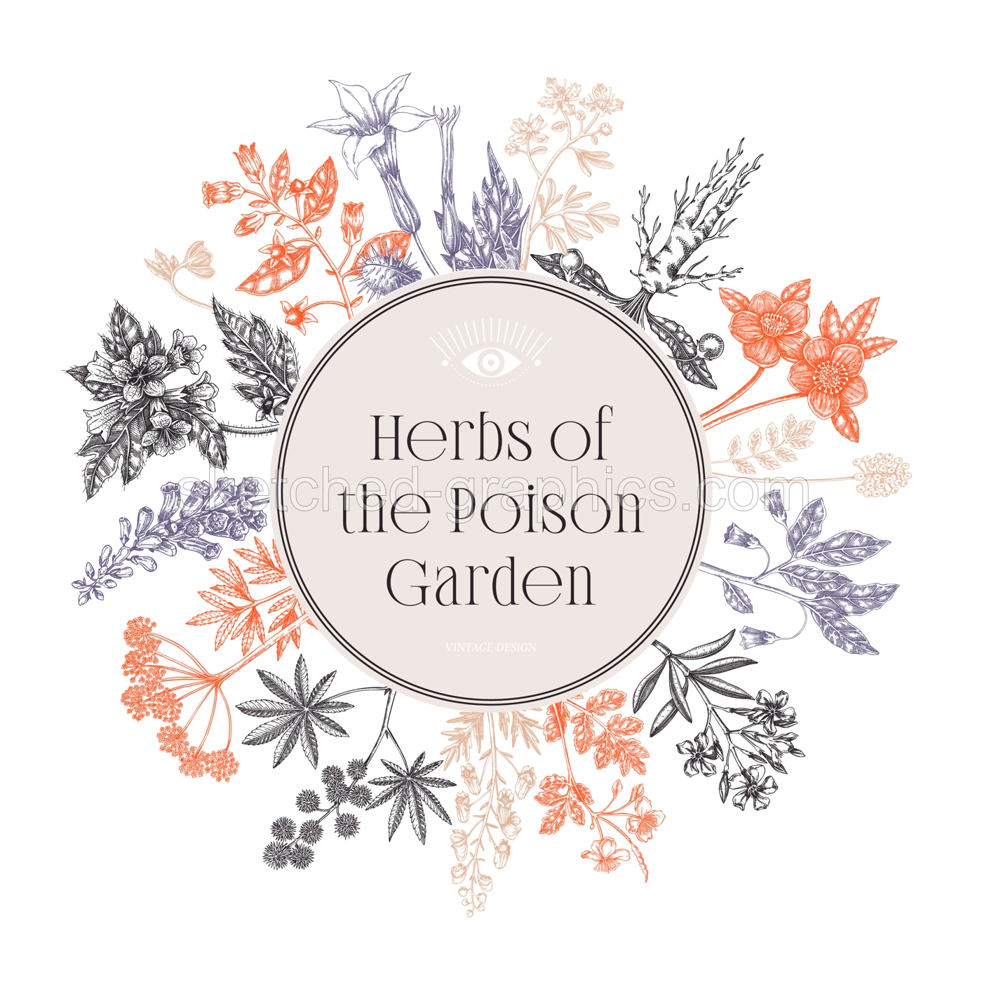 Witchcraft frame design. Poisonous plants hand drawn vector illustration. Witch herbs apothecary vintage card, invitation, print. NOT AI generated Illustration